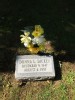 Donna Lee DICKEY