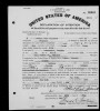 Michigan, Federal Naturalization Records, 1887-1931 Michigan, Federal Naturalization Records, 1887-1931