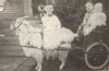 David_Alfred_Julius
