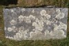 Findagrave  Elizabeth Ludwig Robinson