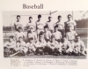 Hamilton Baseball Team