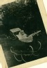 Horst Eckert a