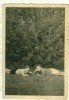Horst Eckert, Heinz Hemann
