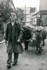 Reinhold Klein (Nickels Reinhold)-Heimweg vom Feld mit seinen Kühen-Aufnahme ca. 1959