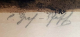 Unterschrift-Graf_Pfaff_Cacilie